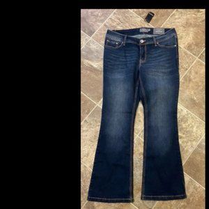 Torrid Jeans